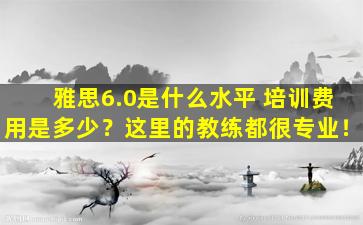 雅思6.0是什么水平 培训费用是多少？这里的教练都很专业！